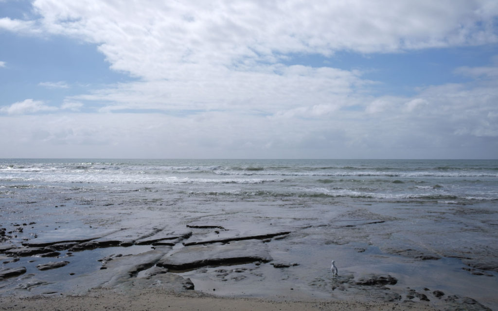 David Bernie Photos Photography Encinitas California Swami's Beach Ocean Fuji x100v Provia March 4, 2023