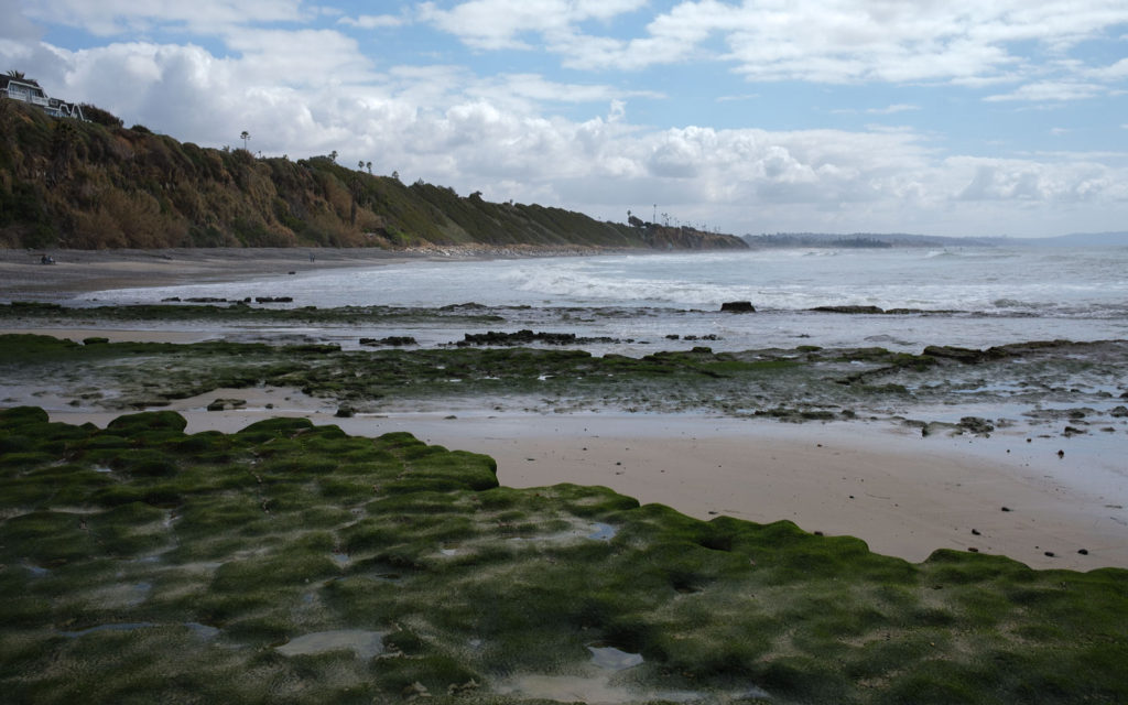 David Bernie Photos Photography Encinitas California Swami's Beach Ocean Fuji x100v Provia March 4, 2023