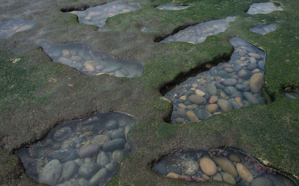 David Bernie Photos Photography Encinitas California Swami's Beach Ocean Fuji x100v Provia March 4, 2023