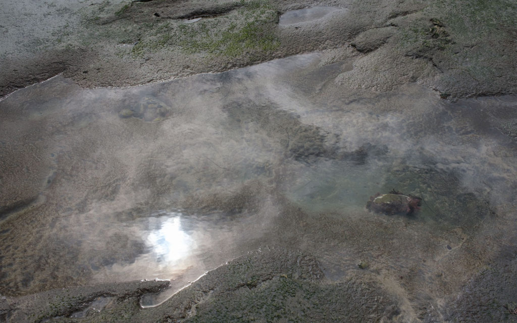 David Bernie Photos Photography Encinitas California Swami's Beach Ocean Fuji x100v Provia March 4, 2023