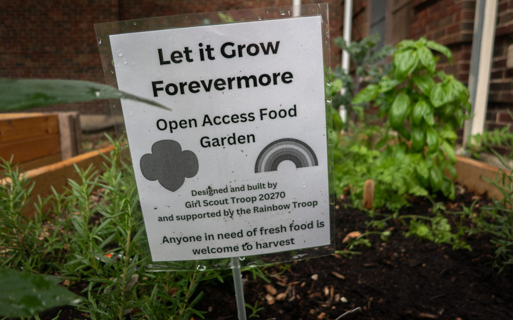 David Bernie Photos Photography American Indian Center Chicago Abandoned Native Foods Plants Garden Jefferson Park