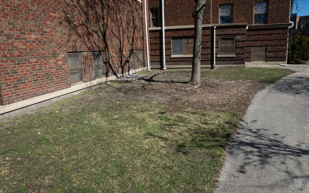 David Bernie Photos Photography American Indian Center Chicago Abandoned Native Foods Plants Garden Jefferson Park