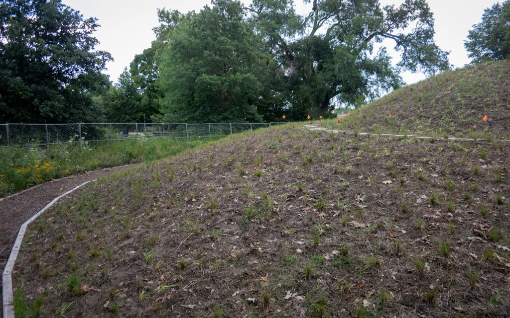 David Bernie Photos Photography Abandoned Coil Mounds Land Art Lawrence Santiago X Chicago Native Art American Indian Center AIC Heather Miller Chicago Public Arts Group CPAG Maryrose Pavkovic Horner Park 4000N Northwest Portage Walking Museum Abandoned 2023