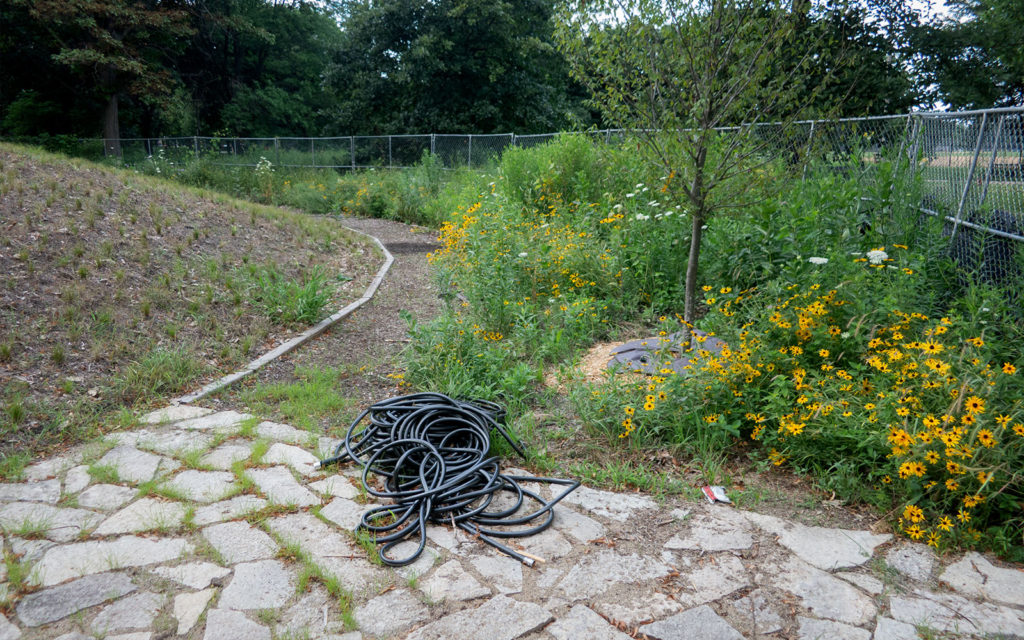 David Bernie Photos Photography Abandoned Coil Mounds Land Art Lawrence Santiago X Chicago Native Art American Indian Center AIC Heather Miller Chicago Public Arts Group CPAG Maryrose Pavkovic Horner Park 4000N Northwest Portage Walking Museum Abandoned 2023