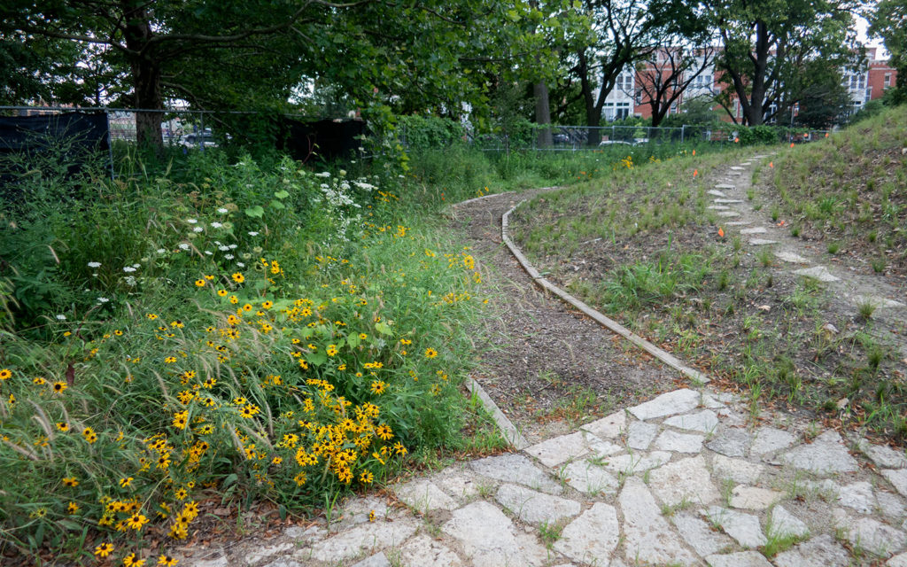 David Bernie Photos Photography Abandoned Coil Mounds Land Art Lawrence Santiago X Chicago Native Art American Indian Center AIC Heather Miller Chicago Public Arts Group CPAG Maryrose Pavkovic Horner Park 4000N Northwest Portage Walking Museum Abandoned 2023