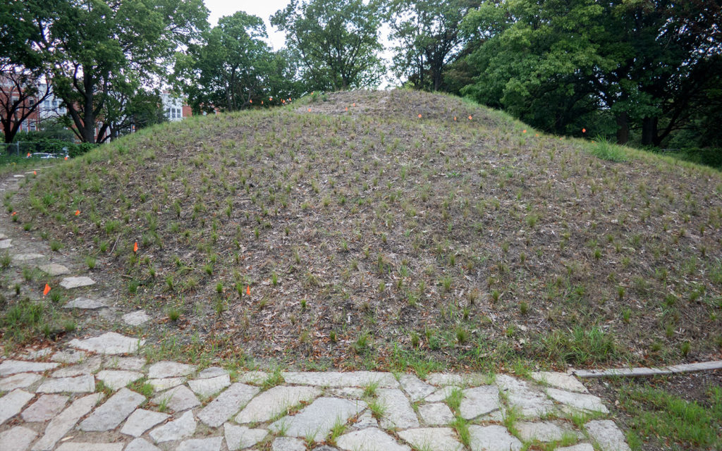 David Bernie Photos Photography Abandoned Coil Mounds Land Art Lawrence Santiago X Chicago Native Art American Indian Center AIC Heather Miller Chicago Public Arts Group CPAG Maryrose Pavkovic Horner Park 4000N Northwest Portage Walking Museum Abandoned 2023