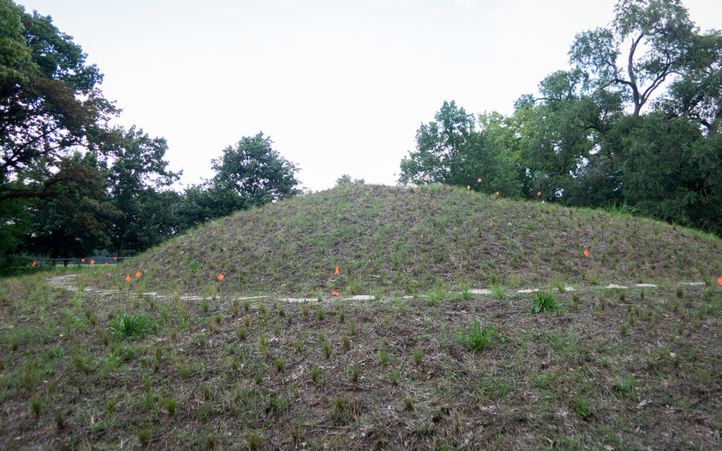 David Bernie Photos Photography Abandoned Coil Mounds Land Art Lawrence Santiago X Chicago Native Art American Indian Center AIC Heather Miller Chicago Public Arts Group CPAG Maryrose Pavkovic Horner Park 4000N Northwest Portage Walking Museum Abandoned 2023