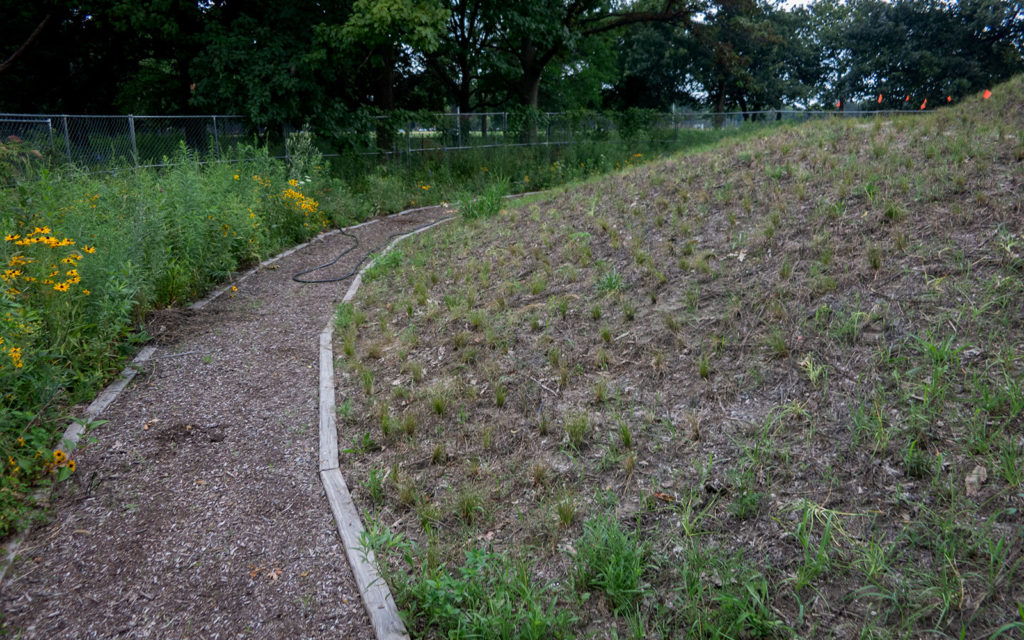 David Bernie Photos Photography Abandoned Coil Mounds Land Art Lawrence Santiago X Chicago Native Art American Indian Center AIC Heather Miller Chicago Public Arts Group CPAG Maryrose Pavkovic Horner Park 4000N Northwest Portage Walking Museum Abandoned 2023