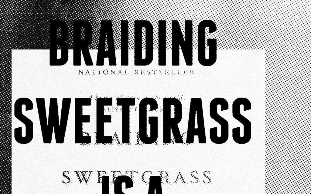 David Bernie Poster Print Native American First Nations Branding Braiding Sweetgrass Settler Colonialism Manifesto Indigenous Genocide Robin Wall Kimmerer Native Futurism