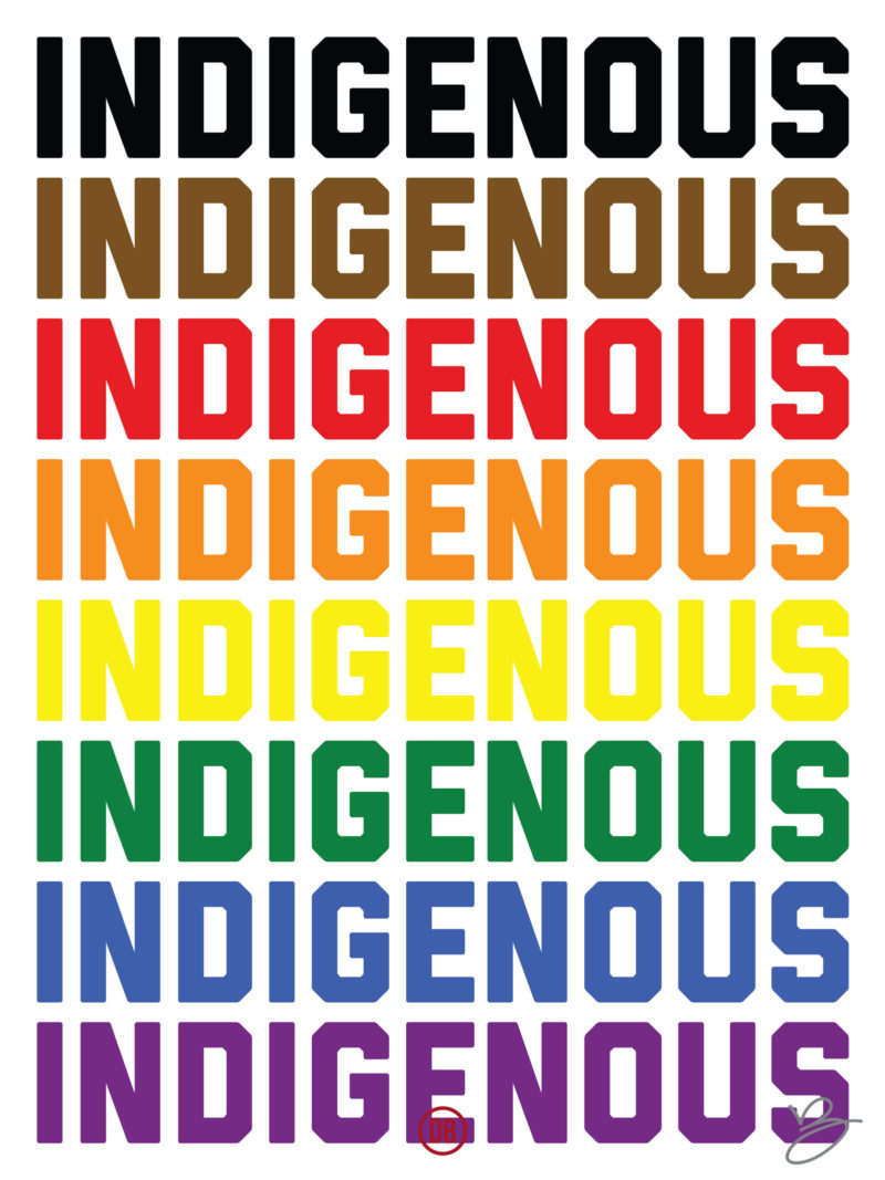 David Bernie Art Posters Print Chicago Native American Indian Indigenous LGBTQIA+