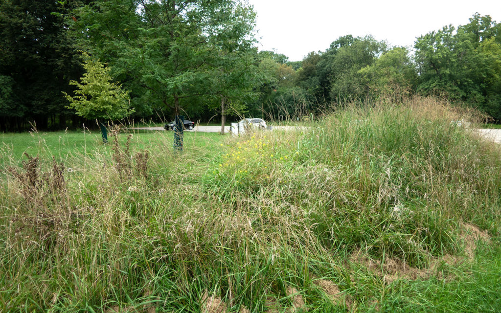 David Bernie Photos Photography Abandoned Twin Serpent Mounds Lawrence Santiago X Chicago Native Art American Indian Center AIC Heather Miller Chicago Public Arts Group CPAG Maryrose Pavkovic Schiller Woods 4000N Northwest Portage Walking Museum Abandoned August 26 2023