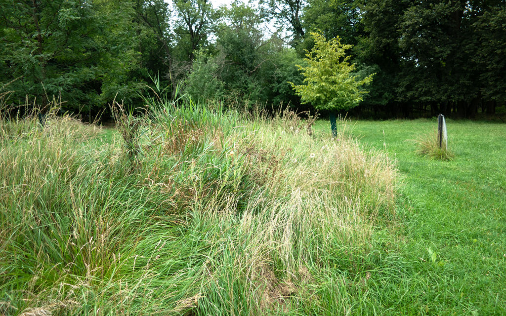 David Bernie Photos Photography Abandoned Twin Serpent Mounds Lawrence Santiago X Chicago Native Art American Indian Center AIC Heather Miller Chicago Public Arts Group CPAG Maryrose Pavkovic Schiller Woods 4000N Northwest Portage Walking Museum Abandoned August 26 2023