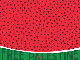 David Bernie Art Posters Print Indigenous Free Gaza Palestine End Israeli Apartheid Open-Air Prison Human Rights Genocide Watermelon