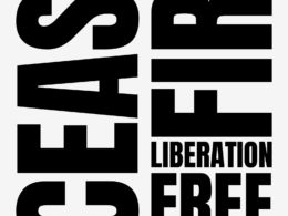 David Bernie Art Posters Print Indigenous Free Gaza Palestine End Israeli Apartheid Open-Air Prison Human Rights Genocide Cease Fire