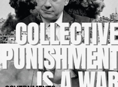 David Bernie Art Posters Print Indigenous Free Palestine End Israeli Apartheid Human Rights Ancestral Land Bilal Saleh Olives Occupied Lands Settlers Collective Punishment War Crimes Governments Start Wars