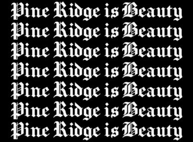 David Bernie Art Posters Print Retro Signs Indigenous Native American First Nations Reservations Reserves Broken Treaties Stolen Land Pine Ridge Oglala Lakota Beauty