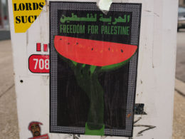 David Bernie Photos Photography Free Palestine Gaza Street Art Tags Signs Prints Murals Flags Chicago Hyde Park Southside