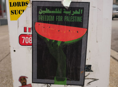 David Bernie Photos Photography Free Palestine Gaza Street Art Tags Signs Prints Murals Flags Chicago Hyde Park Southside