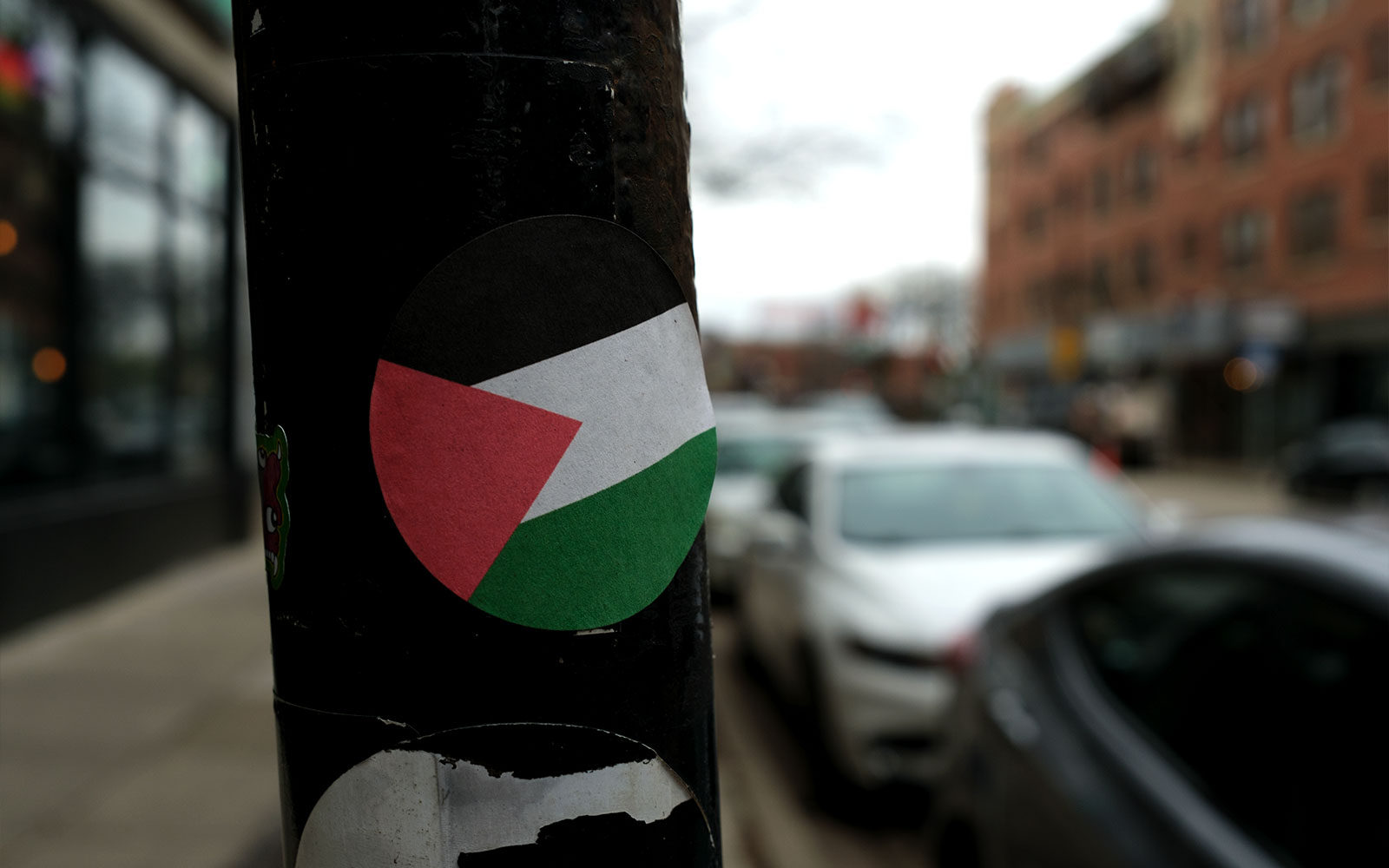 David Bernie Photos Photography Free Palestine Gaza Street Art Tags Signs Prints Murals Flags Chicago Rogers Park Broadway