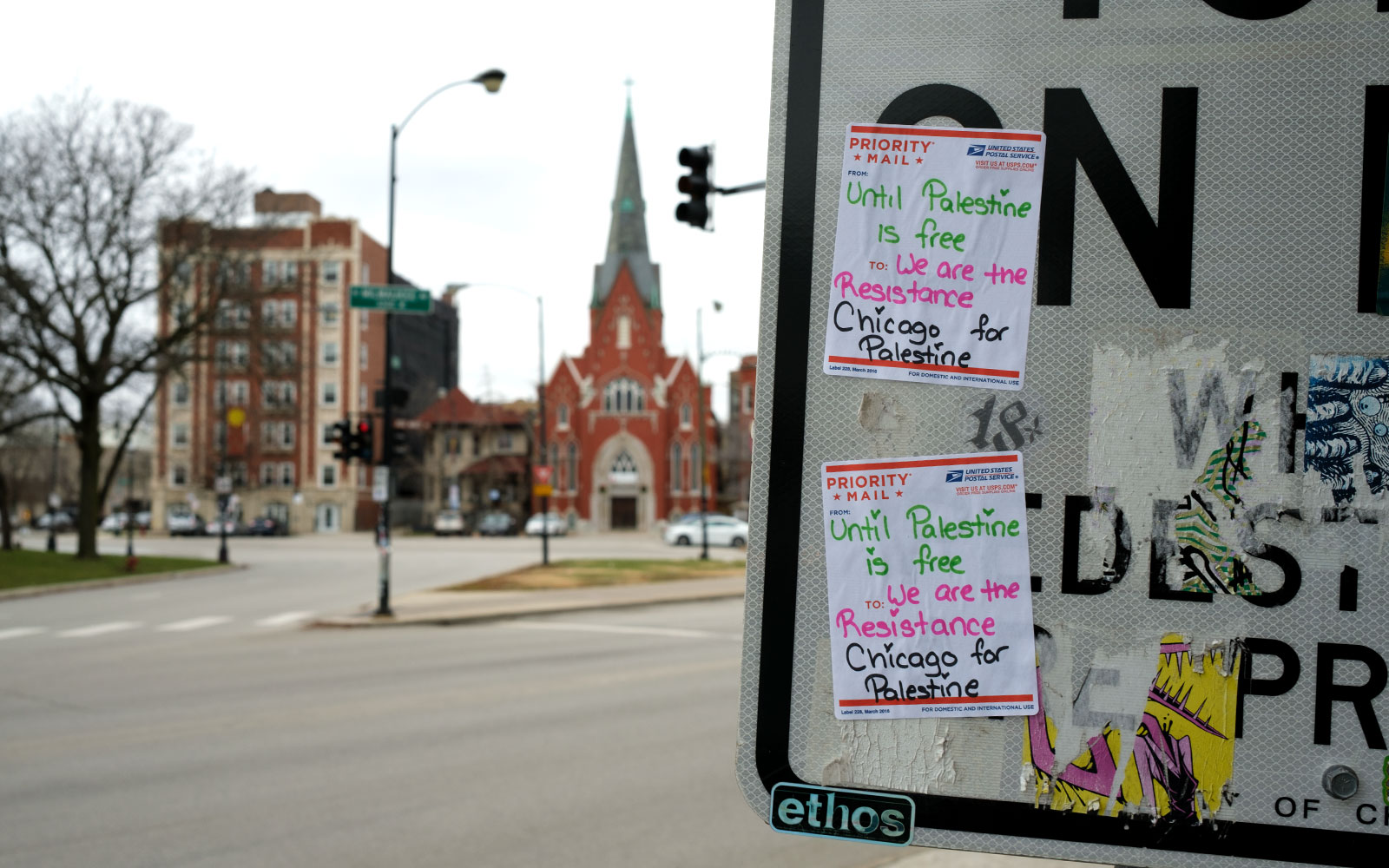 David Bernie Photos Photography Free Palestine Gaza Street Art Tags Signs Prints Murals Flags Chicago Rogers Park Broadway