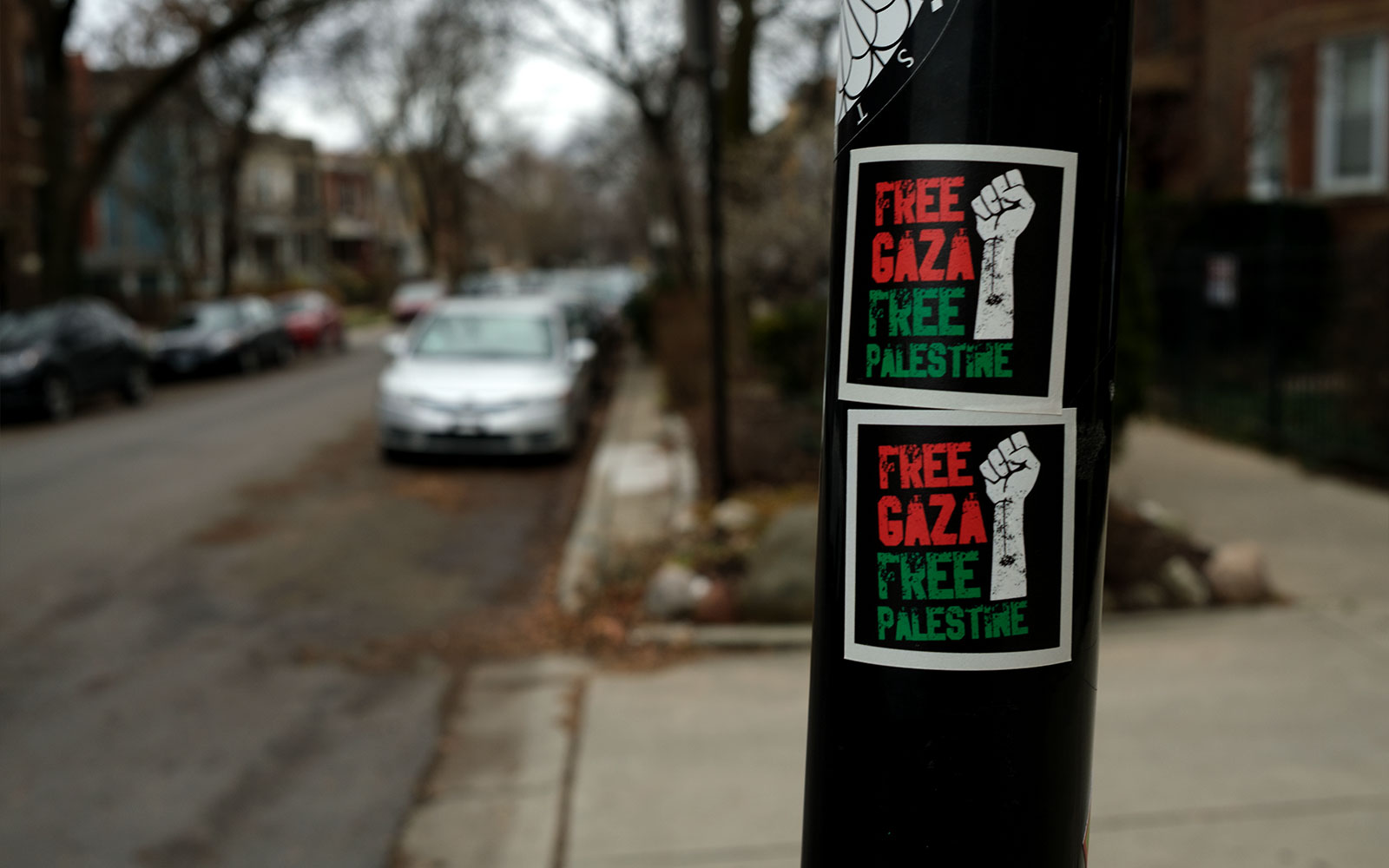 David Bernie Photos Photography Free Palestine Gaza Street Art Tags Signs Prints Murals Flags Chicago Rogers Park Broadway