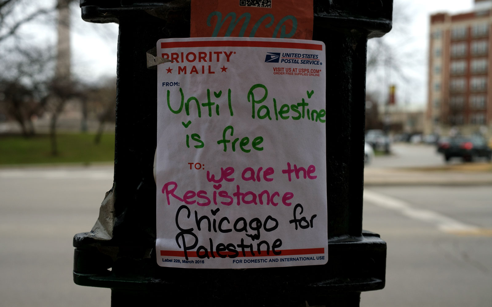 David Bernie Photos Photography Free Palestine Gaza Street Art Tags Signs Prints Murals Flags Chicago Rogers Park Broadway