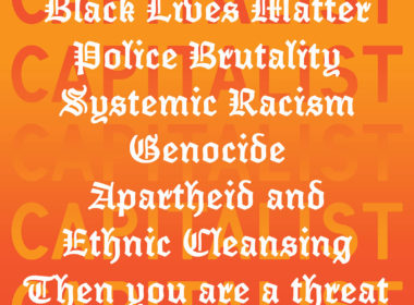 David Bernie Art Posters Print Indigenous Native American First Nations Reservations Reserves This is Native America 14 Land Back Capitalist Nonprofit Corporations Black Lives Matter Genocide Free Palestine