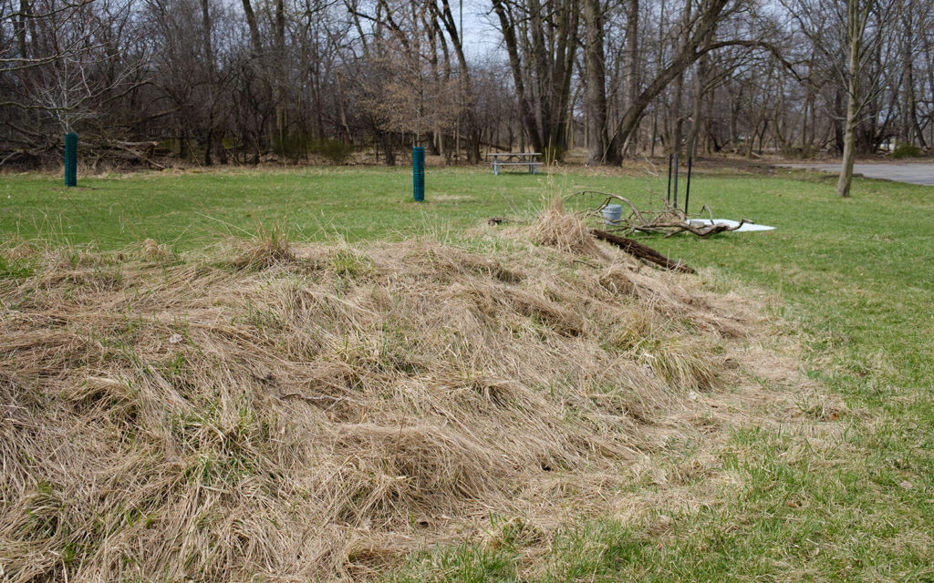 David Bernie Photos Photography Abandoned Twin Serpent Mounds Lawrence Santiago X Chicago Native Art American Indian Center AIC Heather Miller Chicago Public Arts Group CPAG Maryrose Pavkovic Schiller Woods 4000N Northwest Portage Walking Museum Abandoned March 2024