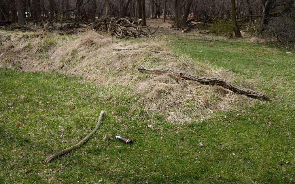 David Bernie Photos Photography Abandoned Twin Serpent Mounds Lawrence Santiago X Chicago Native Art American Indian Center AIC Heather Miller Chicago Public Arts Group CPAG Maryrose Pavkovic Schiller Woods 4000N Northwest Portage Walking Museum Abandoned March 2024