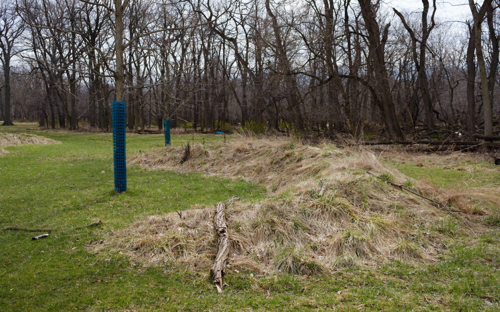 David Bernie Photos Photography Abandoned Twin Serpent Mounds Lawrence Santiago X Chicago Native Art American Indian Center AIC Heather Miller Chicago Public Arts Group CPAG Maryrose Pavkovic Schiller Woods 4000N Northwest Portage Walking Museum Abandoned March 2024