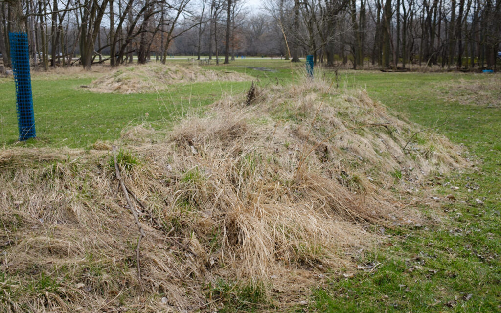 David Bernie Photos Photography Abandoned Twin Serpent Mounds Lawrence Santiago X Chicago Native Art American Indian Center AIC Heather Miller Chicago Public Arts Group CPAG Maryrose Pavkovic Schiller Woods 4000N Northwest Portage Walking Museum Abandoned March 2024