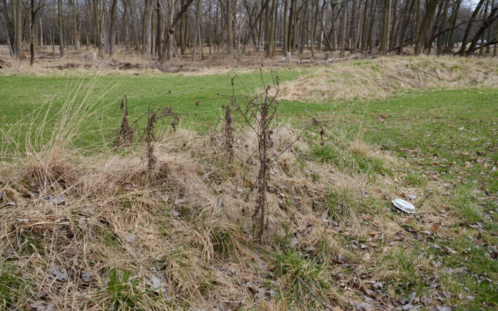 David Bernie Photos Photography Abandoned Twin Serpent Mounds Lawrence Santiago X Chicago Native Art American Indian Center AIC Heather Miller Chicago Public Arts Group CPAG Maryrose Pavkovic Schiller Woods 4000N Northwest Portage Walking Museum Abandoned March 2024