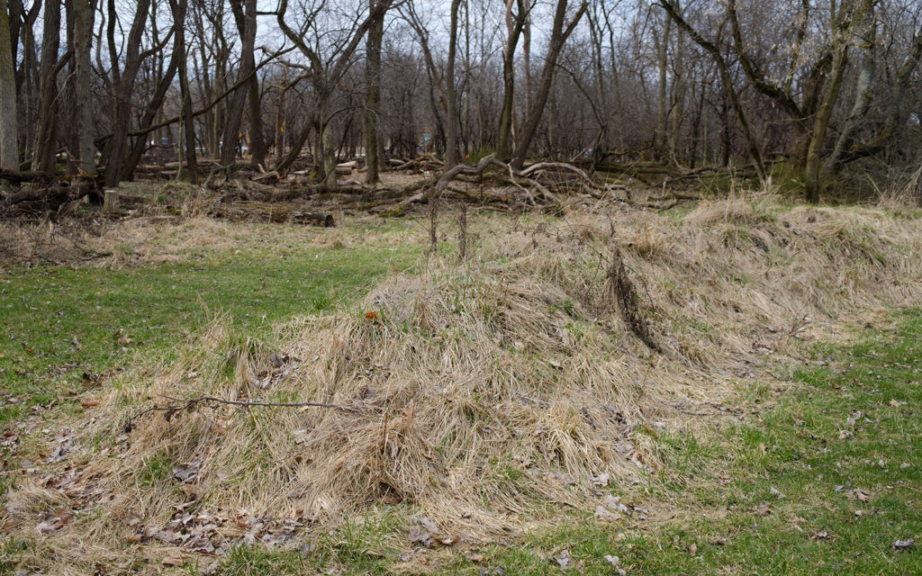 David Bernie Photos Photography Abandoned Twin Serpent Mounds Lawrence Santiago X Chicago Native Art American Indian Center AIC Heather Miller Chicago Public Arts Group CPAG Maryrose Pavkovic Schiller Woods 4000N Northwest Portage Walking Museum Abandoned March 2024