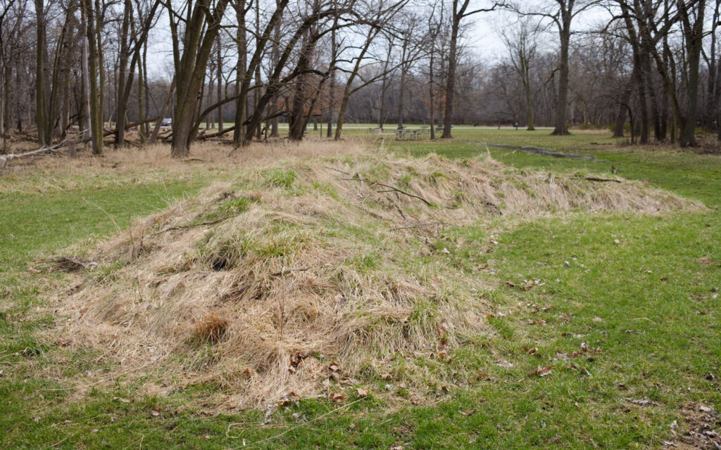 David Bernie Photos Photography Abandoned Twin Serpent Mounds Lawrence Santiago X Chicago Native Art American Indian Center AIC Heather Miller Chicago Public Arts Group CPAG Maryrose Pavkovic Schiller Woods 4000N Northwest Portage Walking Museum Abandoned March 2024