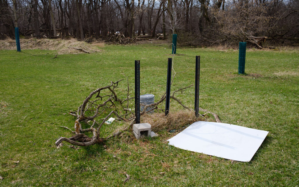 David Bernie Photos Photography Abandoned Twin Serpent Mounds Lawrence Santiago X Chicago Native Art American Indian Center AIC Heather Miller Chicago Public Arts Group CPAG Maryrose Pavkovic Schiller Woods 4000N Northwest Portage Walking Museum Abandoned March 2024