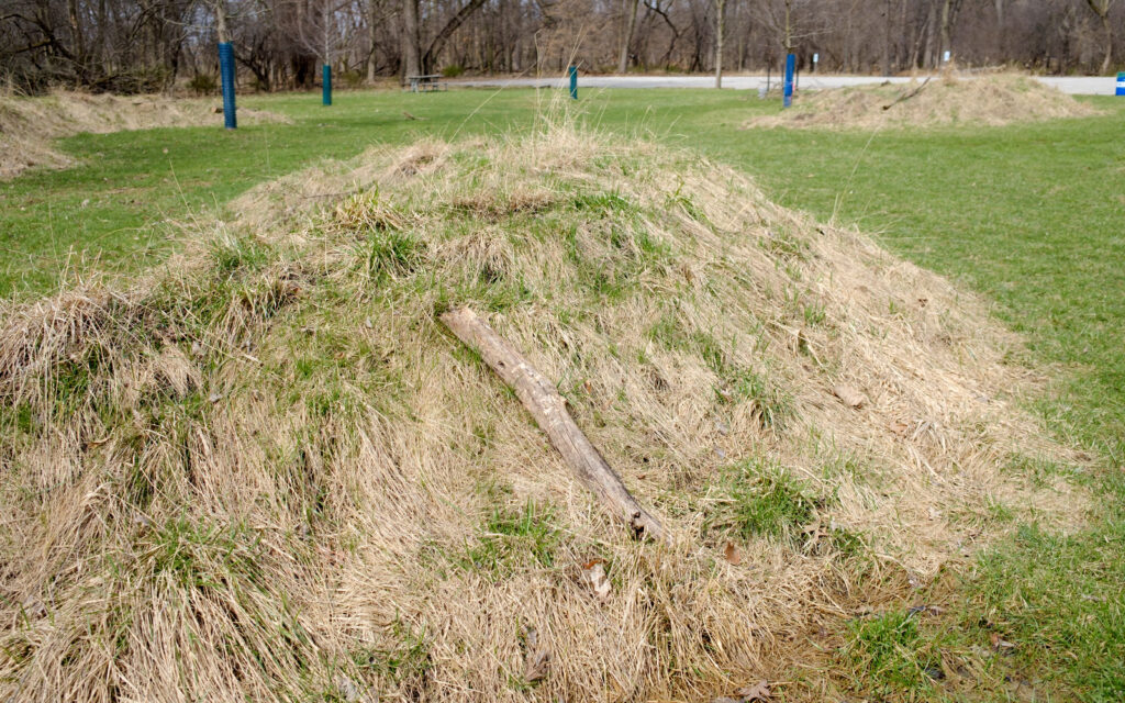 David Bernie Photos Photography Abandoned Twin Serpent Mounds Lawrence Santiago X Chicago Native Art American Indian Center AIC Heather Miller Chicago Public Arts Group CPAG Maryrose Pavkovic Schiller Woods 4000N Northwest Portage Walking Museum Abandoned March 2024