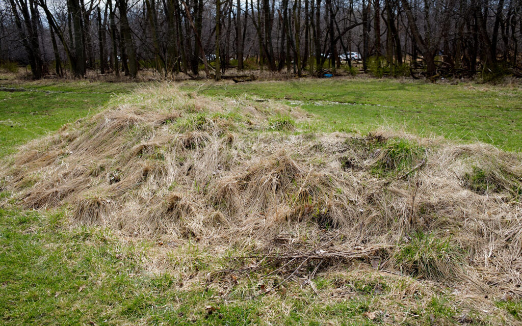 David Bernie Photos Photography Abandoned Twin Serpent Mounds Lawrence Santiago X Chicago Native Art American Indian Center AIC Heather Miller Chicago Public Arts Group CPAG Maryrose Pavkovic Schiller Woods 4000N Northwest Portage Walking Museum Abandoned March 2024