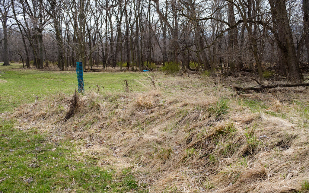 David Bernie Photos Photography Abandoned Twin Serpent Mounds Lawrence Santiago X Chicago Native Art American Indian Center AIC Heather Miller Chicago Public Arts Group CPAG Maryrose Pavkovic Schiller Woods 4000N Northwest Portage Walking Museum Abandoned March 2024