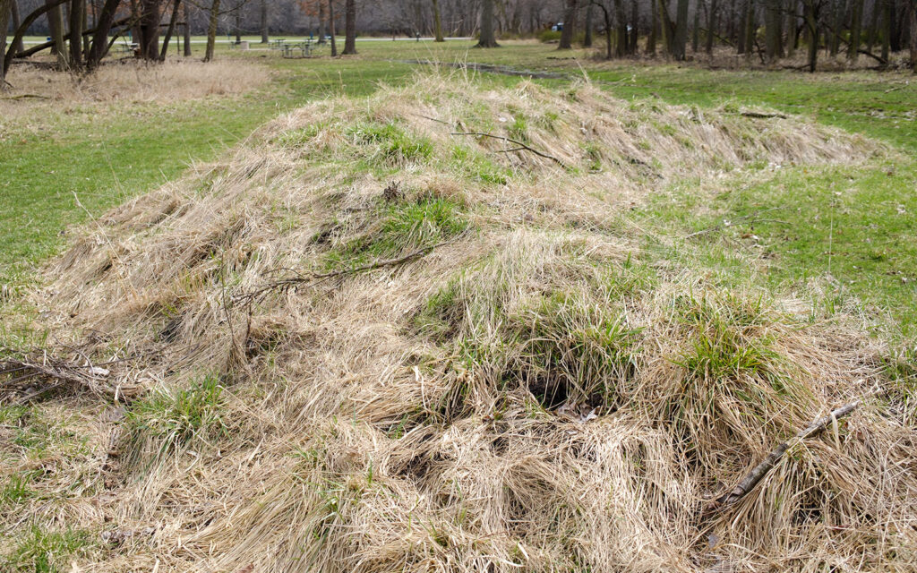 David Bernie Photos Photography Abandoned Twin Serpent Mounds Lawrence Santiago X Chicago Native Art American Indian Center AIC Heather Miller Chicago Public Arts Group CPAG Maryrose Pavkovic Schiller Woods 4000N Northwest Portage Walking Museum Abandoned March 2024