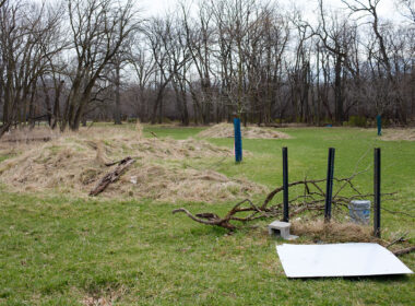 David Bernie Photos Photography Abandoned Twin Serpent Mounds Lawrence Santiago X Chicago Native Art American Indian Center AIC Heather Miller Chicago Public Arts Group CPAG Maryrose Pavkovic Schiller Woods 4000N Northwest Portage Walking Museum Abandoned March 2024