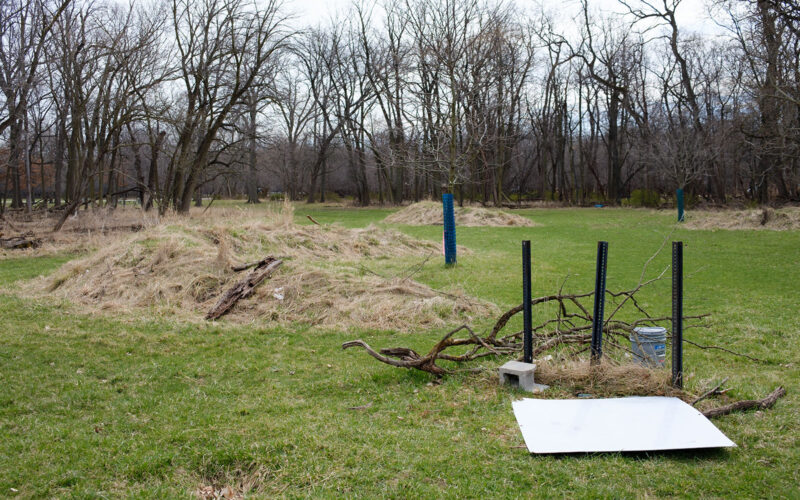 David Bernie Photos Photography Abandoned Twin Serpent Mounds Lawrence Santiago X Chicago Native Art American Indian Center AIC Heather Miller Chicago Public Arts Group CPAG Maryrose Pavkovic Schiller Woods 4000N Northwest Portage Walking Museum Abandoned March 2024