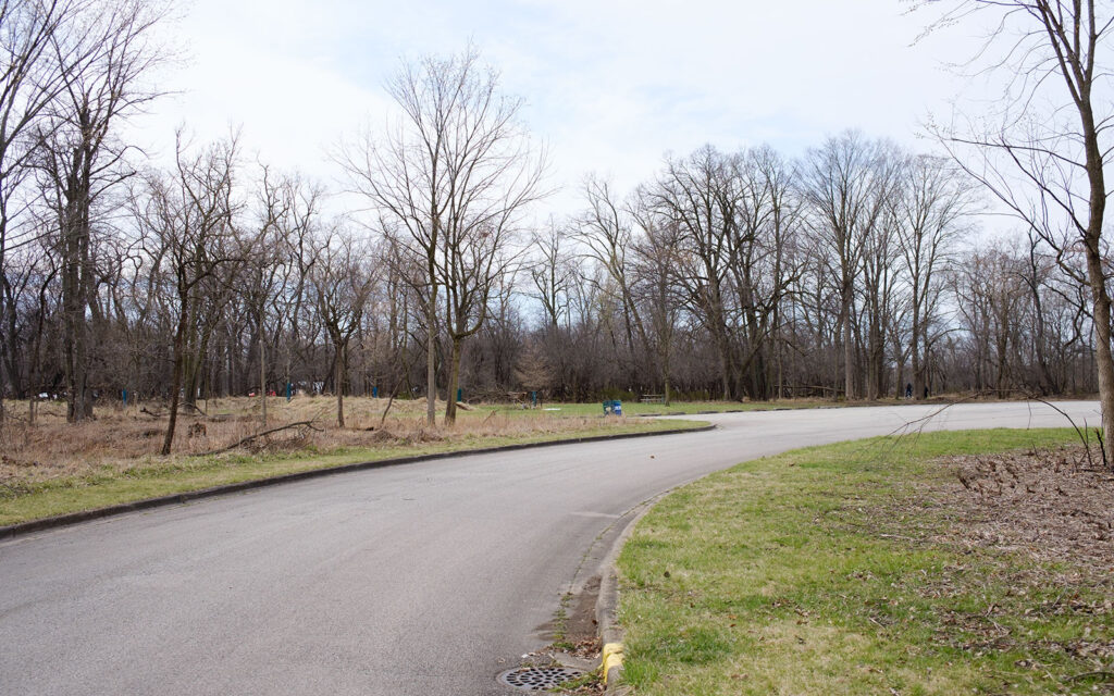 David Bernie Photos Photography Abandoned Twin Serpent Mounds Lawrence Santiago X Chicago Native Art American Indian Center AIC Heather Miller Chicago Public Arts Group CPAG Maryrose Pavkovic Schiller Woods 4000N Northwest Portage Walking Museum Abandoned March 2024