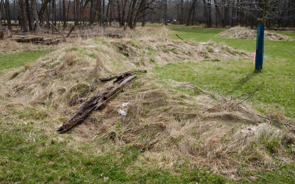 David Bernie Photos Photography Abandoned Twin Serpent Mounds Lawrence Santiago X Chicago Native Art American Indian Center AIC Heather Miller Chicago Public Arts Group CPAG Maryrose Pavkovic Schiller Woods 4000N Northwest Portage Walking Museum Abandoned March 2024