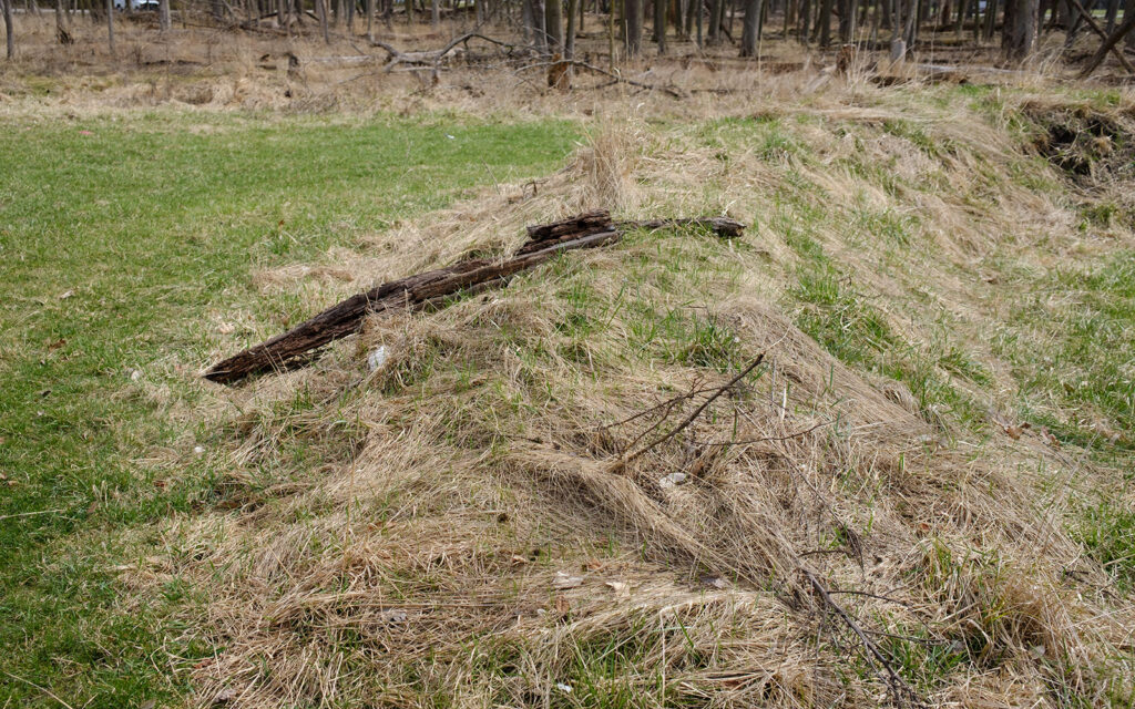 David Bernie Photos Photography Abandoned Twin Serpent Mounds Lawrence Santiago X Chicago Native Art American Indian Center AIC Heather Miller Chicago Public Arts Group CPAG Maryrose Pavkovic Schiller Woods 4000N Northwest Portage Walking Museum Abandoned March 2024