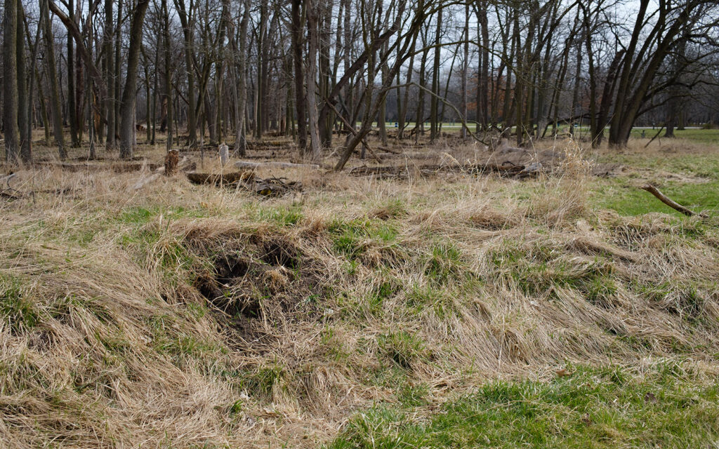 David Bernie Photos Photography Abandoned Twin Serpent Mounds Lawrence Santiago X Chicago Native Art American Indian Center AIC Heather Miller Chicago Public Arts Group CPAG Maryrose Pavkovic Schiller Woods 4000N Northwest Portage Walking Museum Abandoned March 2024