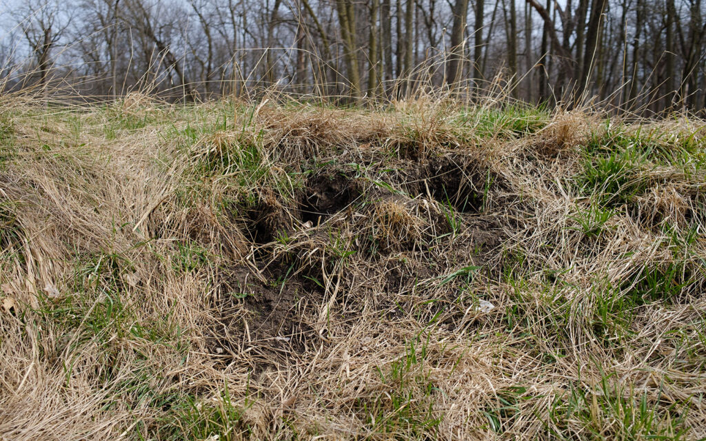 David Bernie Photos Photography Abandoned Twin Serpent Mounds Lawrence Santiago X Chicago Native Art American Indian Center AIC Heather Miller Chicago Public Arts Group CPAG Maryrose Pavkovic Schiller Woods 4000N Northwest Portage Walking Museum Abandoned March 2024