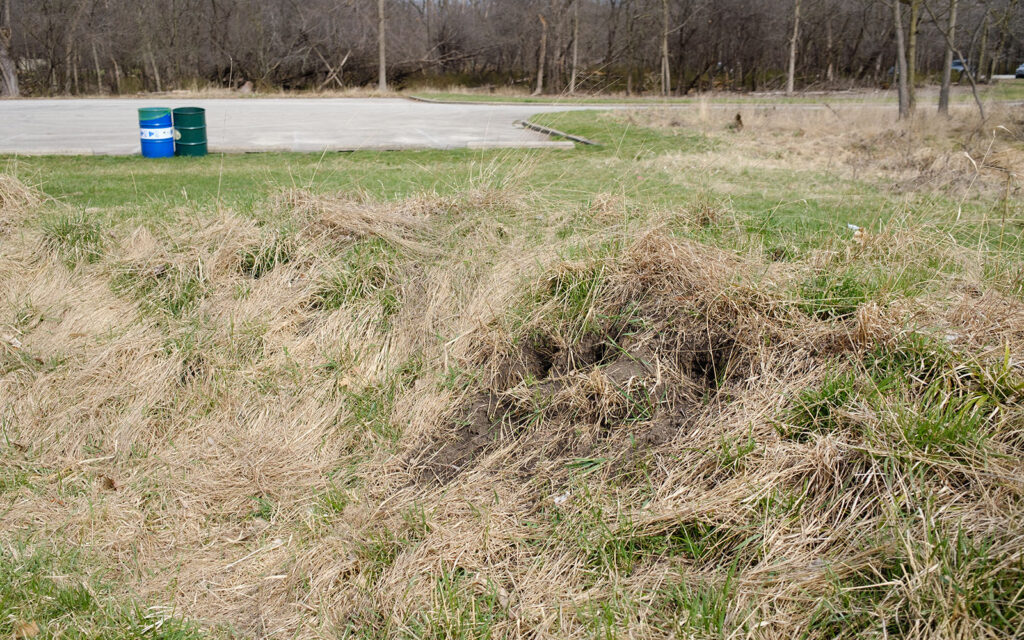 David Bernie Photos Photography Abandoned Twin Serpent Mounds Lawrence Santiago X Chicago Native Art American Indian Center AIC Heather Miller Chicago Public Arts Group CPAG Maryrose Pavkovic Schiller Woods 4000N Northwest Portage Walking Museum Abandoned March 2024