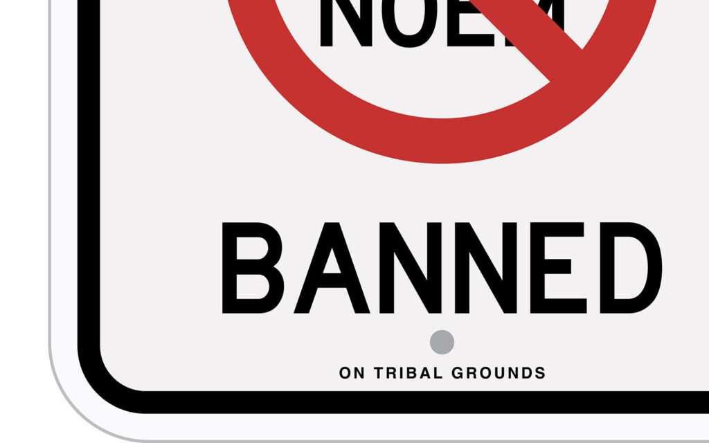 David Bernie Art Posters Print Indigenous Native American First Nations Reservations Reserves On Tribal Grounds Kristi Noem Not Allowed on Tribal Grounds Yankton Sioux Tribe Ihanktonwan Dakota