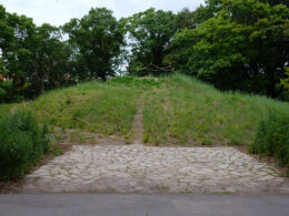 David Bernie Photos Photography Abandoned Coil Serpent Mound Land Art Lawrence Santiago X Chicago Native Art American Indian Center AIC Heather Miller Chicago Public Arts Group CPAG Maryrose Pavkovic Horner Park 4000N Northwest Portage Walking Museum Abandoned