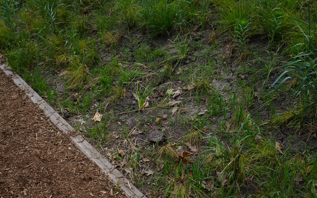 David Bernie Photos Photography Abandoned Coil Serpent Mound Land Art Lawrence Santiago X Chicago Native Art American Indian Center AIC Heather Miller Chicago Public Arts Group CPAG Maryrose Pavkovic Horner Park 4000N Northwest Portage Walking Museum Abandoned